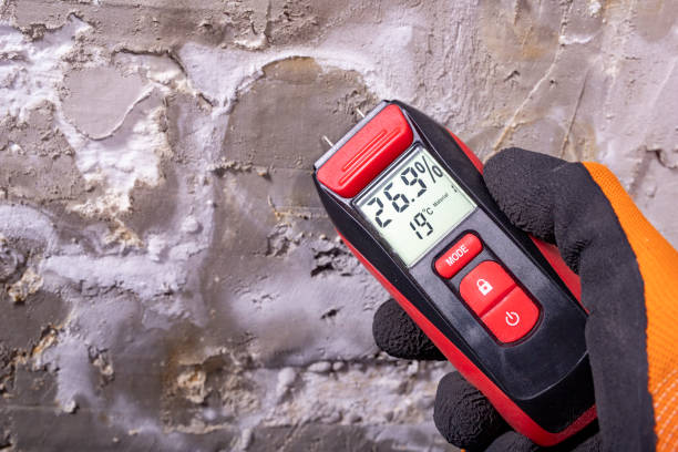 Best Emergency Mold Removal  in Trenton, MO