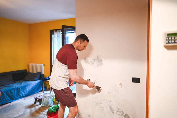 Best Office Mold Removal Services  in Trenton, MO
